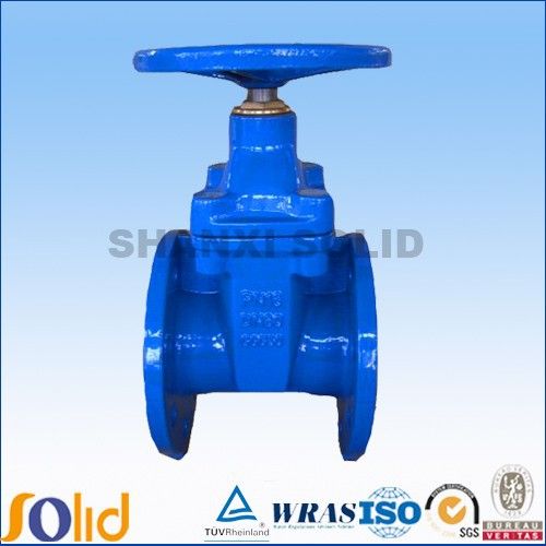 Iron Rising Stem Gate Valve