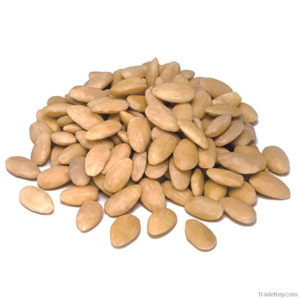 Hazelnut Kernels Dry Fruit