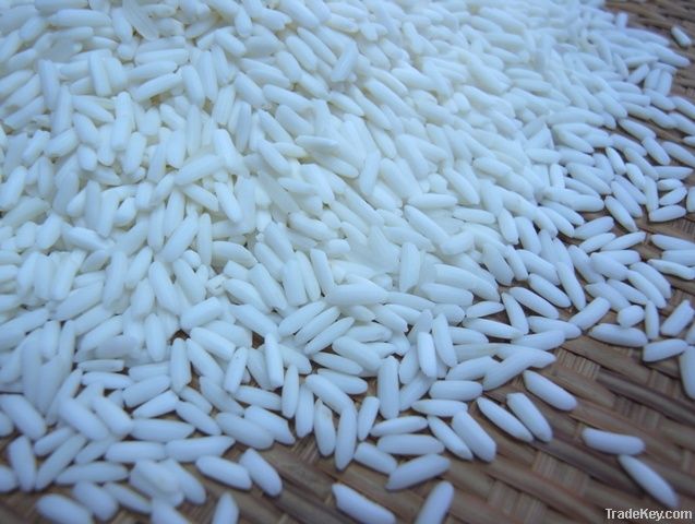 Rice Supplier| Rice Exporter | Rice Manufacturer | Rice Trader | Rice Buyer | Rice Importers | Import Rice