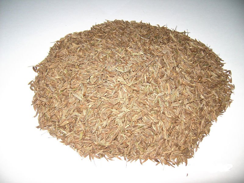 caraway seed