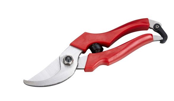 Hand pruner