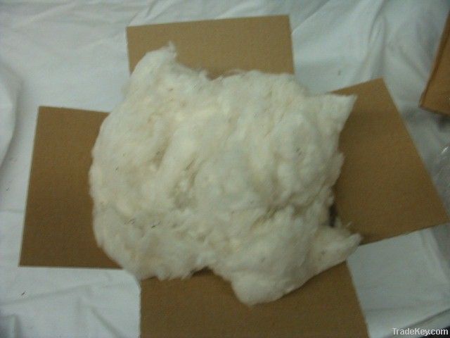 Raw cotton