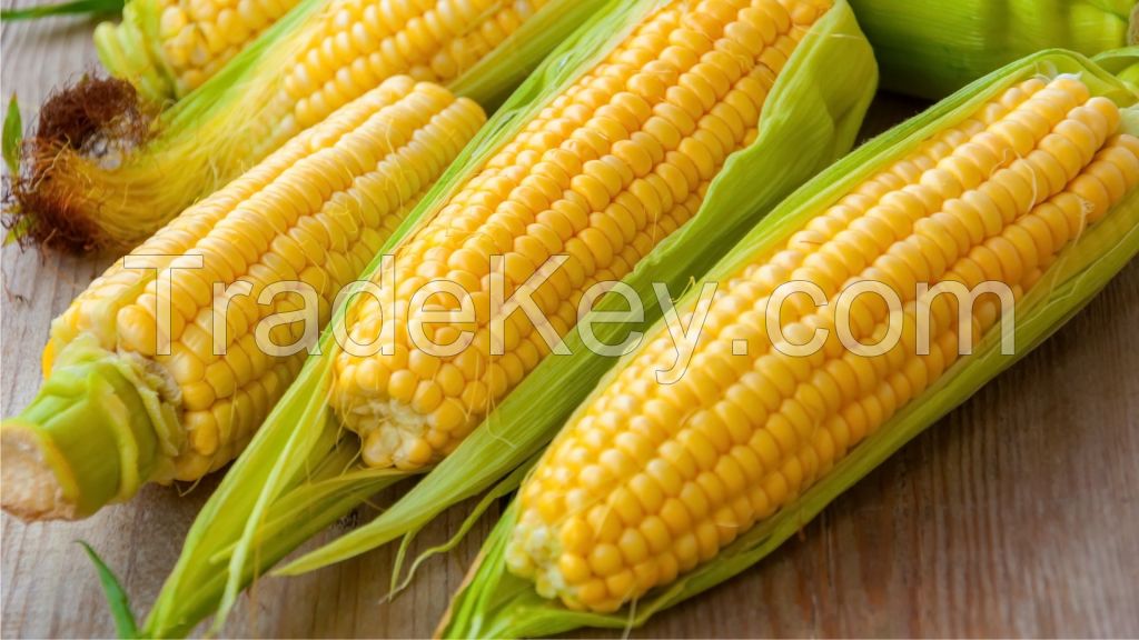 corn