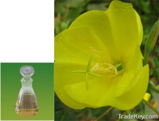 Evening primrose oil