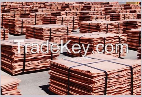 Copper Cathode