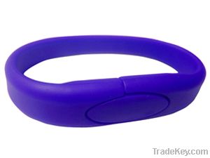 Wristband flash memory