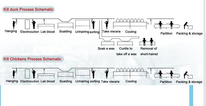 poultry slaughtering equipments