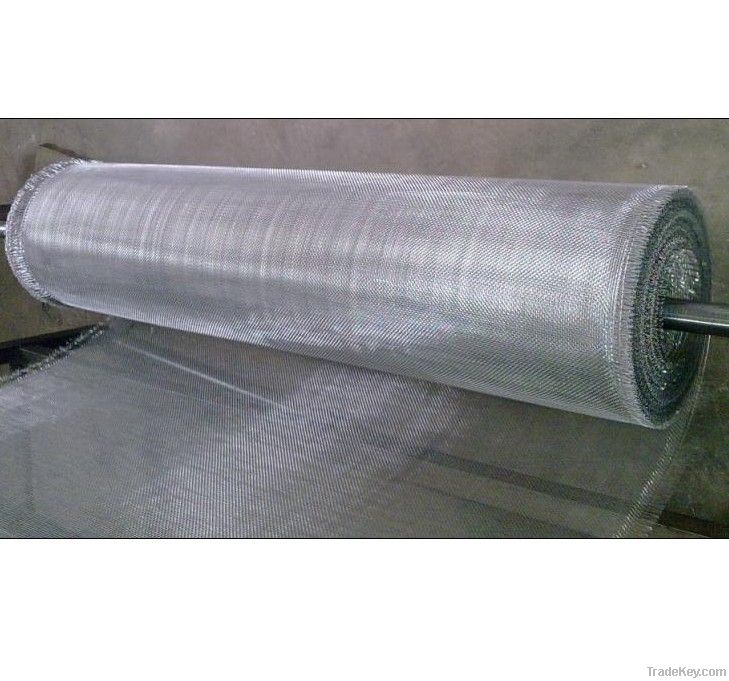 Stainless Steel Wire Mesh (D)