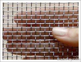 Galvanized Square Wire Mesh F