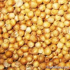 Coriander Seeds