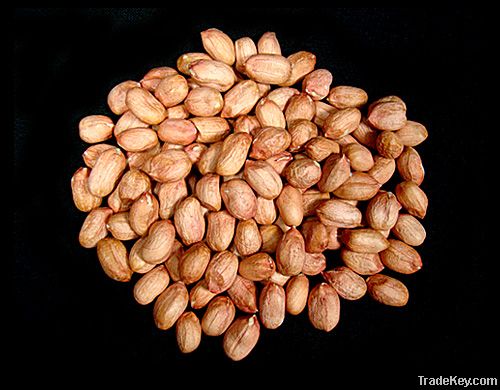 Raw and blanched peanuts