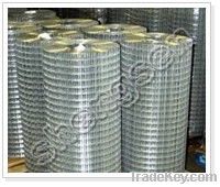 Welded wire mesh