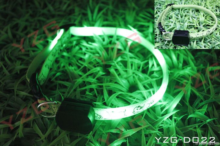 Nowadays cute flashing pet collar