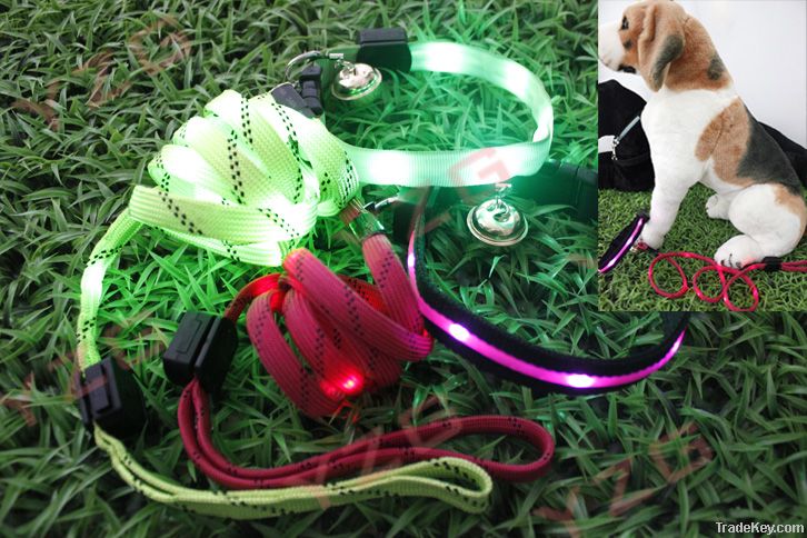 Personalized flashing pet Leashes