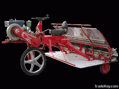 Transplanter