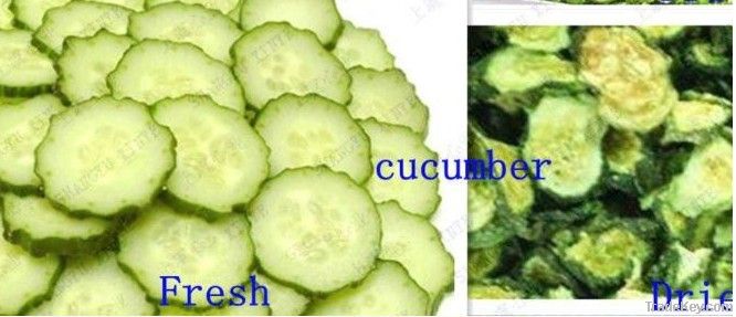 vegetable dewatering machine