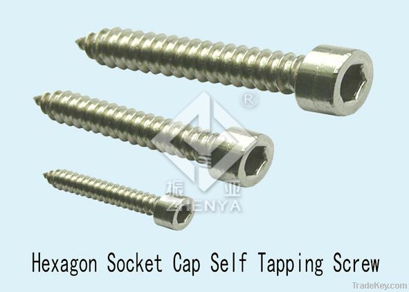 stainless steel self-tapping screw/ self-drilling screw/ wood screw