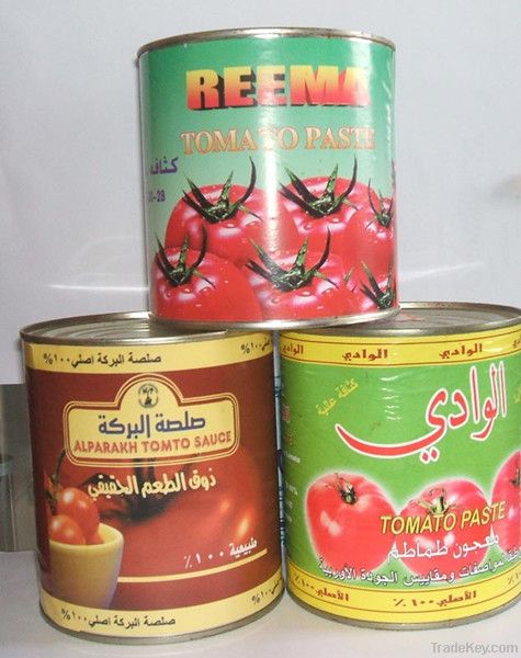 high quality low price tomato paste