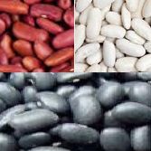 Kidney Beans