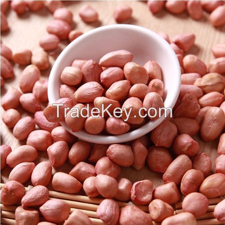 Good quality peanuts 100% Natural peanut