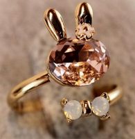 Rabbit Ring