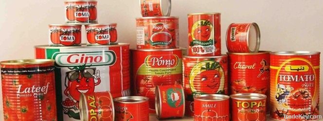 400g28~30% tomato paste