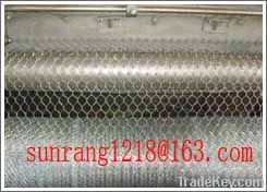 Hexagonal Wire Netting