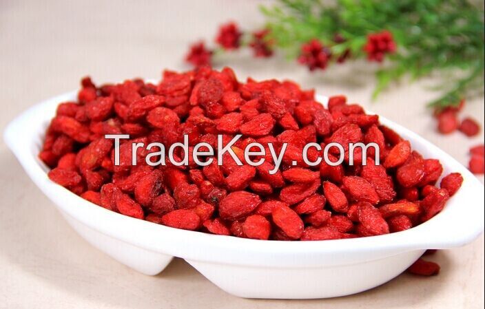 New crop Goji berry