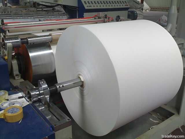 pe coated paper