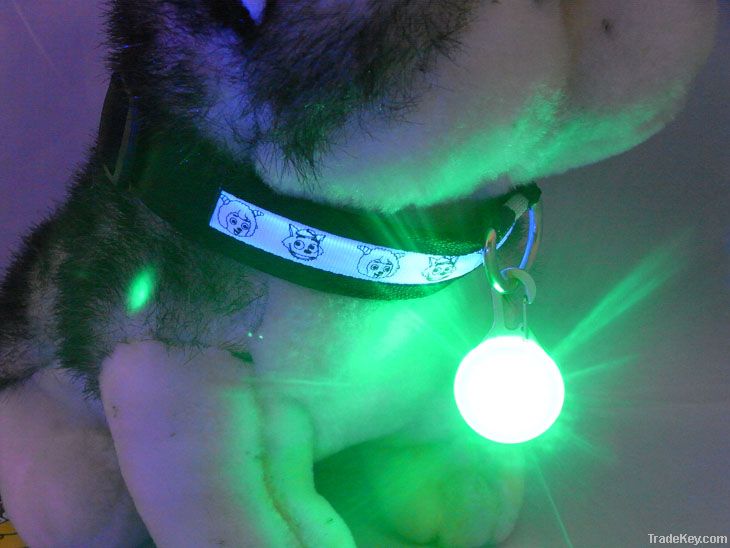 Led pet ID tag