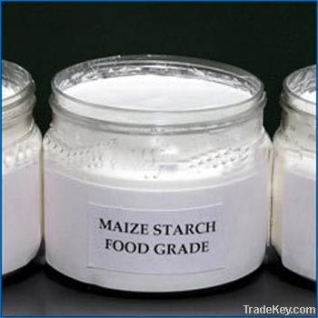 Maize Starch