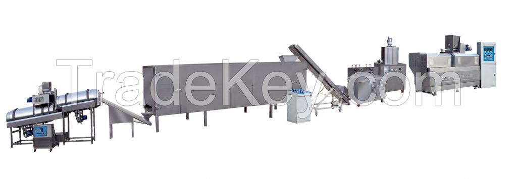 Snack Food Processing Line