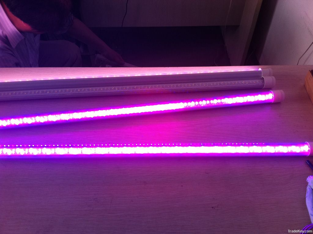 T8 LED grow light