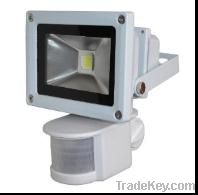 LED Floodlight