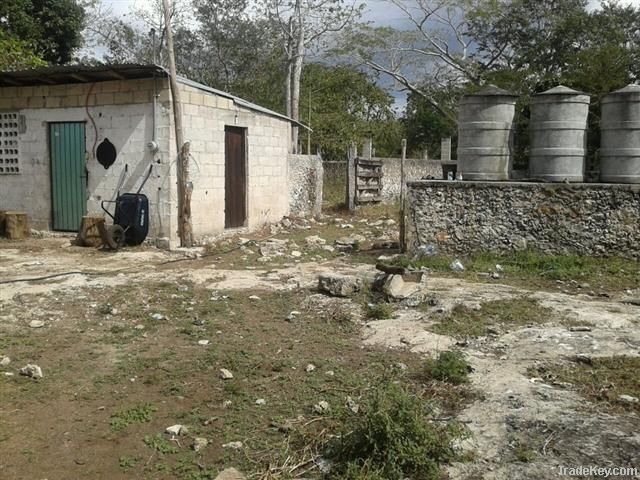 Rancho Ganadero en venta en Yucatan Mexico