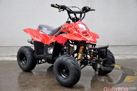 50cc/70cc/90cc/110cc atv