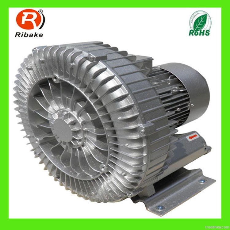 Ribake side channel vacuum pump