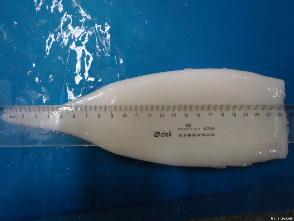 IQF/BQF frozen squid tube(todarodes)