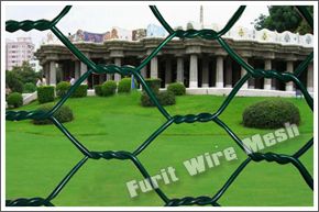 Hexagonal wire mesh