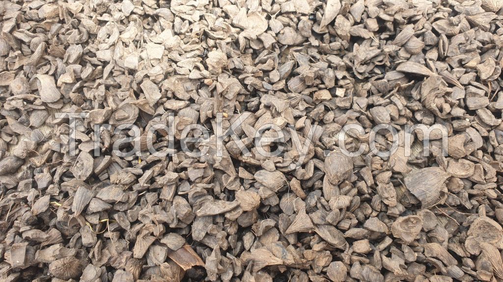 PALM KERNEL SHELL