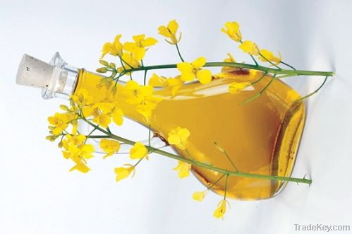 CRUDE DEGUMMED RAPESEED OIL