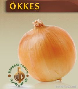 Onion Seeds