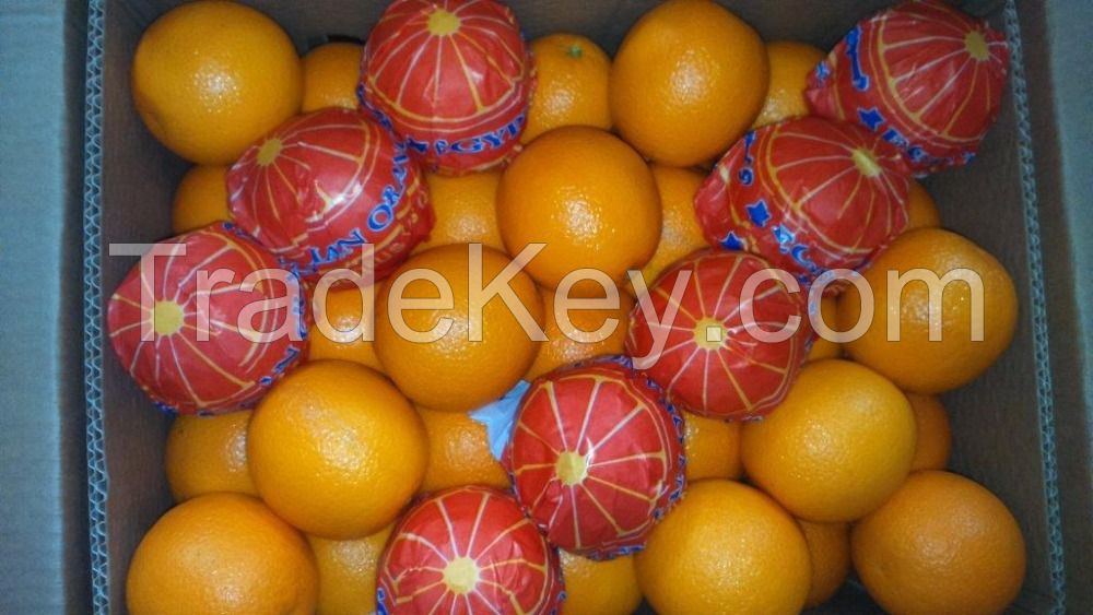 Fresh Valencia Oranges