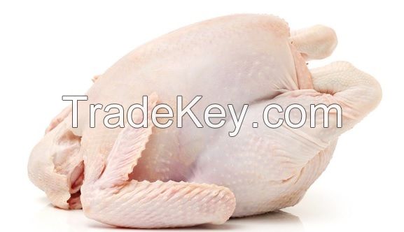 EXPORT GRADE HALAL FROZEN WHOLE CHICKEN CHICKEN FEET CHICKEN PAW