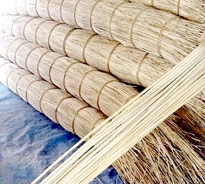 Rattan material raw core in Vietnam cheaper China and Malaysia