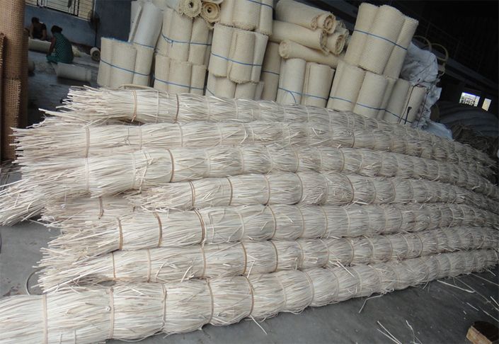 Rattan raw material