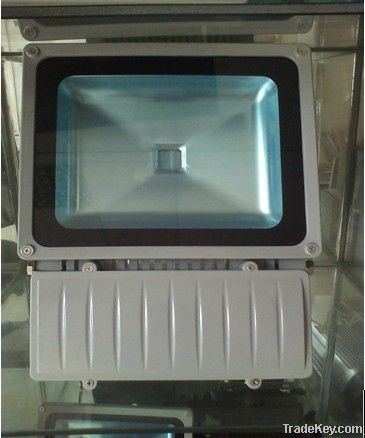 LED Flood light competitive price