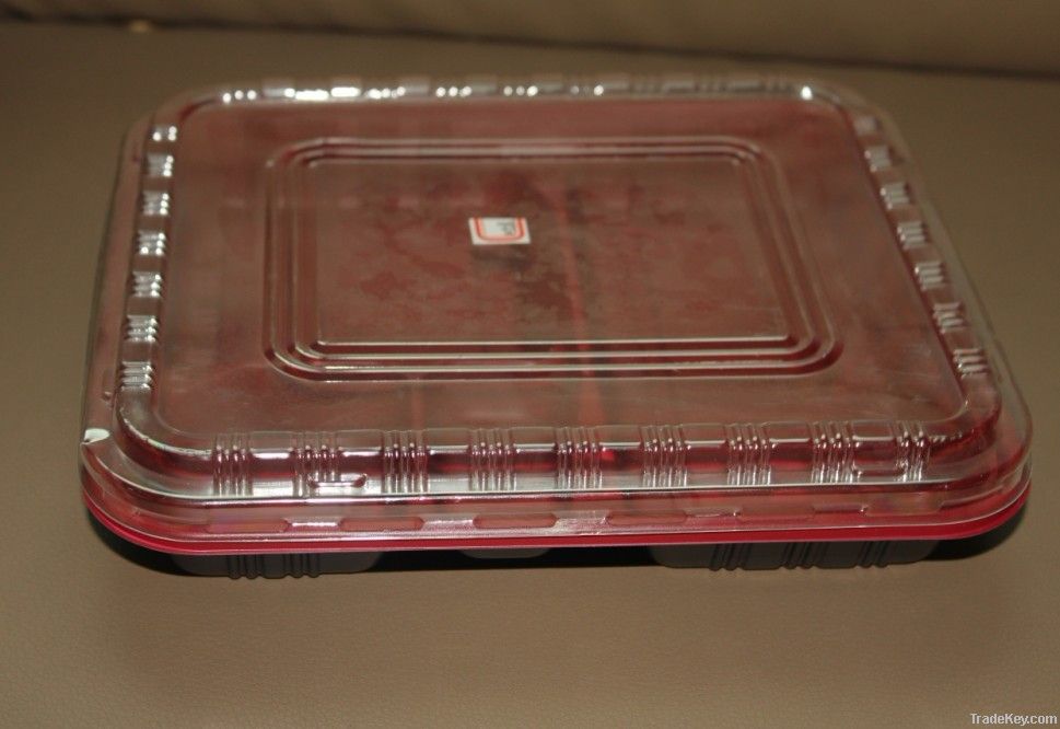 plastic disposable food container