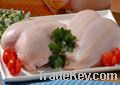 Export Chicken Meat | Chicken Meat Suppliers | Poultry Meat Exporters | Chicken Pieces Traders | Processed Chicken Meat Buyers | Frozen Poultry Meat Wholesalers | Halal Chicken | Low Price Freeze Chicken Wings | Best Buy Chicken Parts | Buy Chicken Meat |