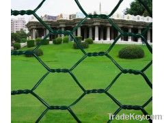 Hexagonal Wire Netting